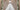 10+ Exquisite Wedding Dress Frame Ideas 2026: The Ultimate Preservation Guide