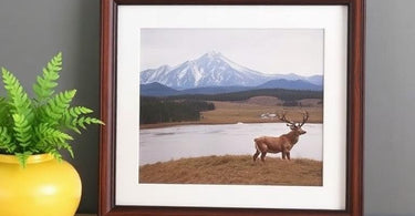 10 Most Cheap Picture Frames Online 2026: The Ultimate Budget Decor Guide