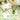 Elegant 100% cotton cloth napkins by Story&Suns, scalloped edge cocktail napkins with delicate floral embroidery