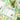 Story&Suns cotton scalloped cocktail napkins with embroidered flowers, soft and durable cloth napkins for home dining décor